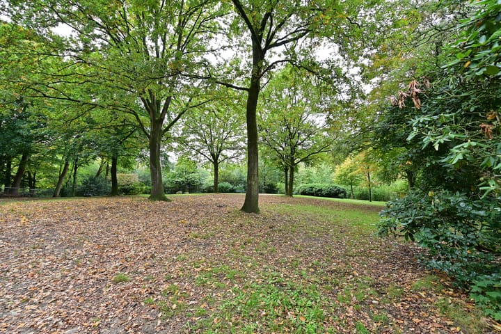 Foto 43 van Bergweg 24