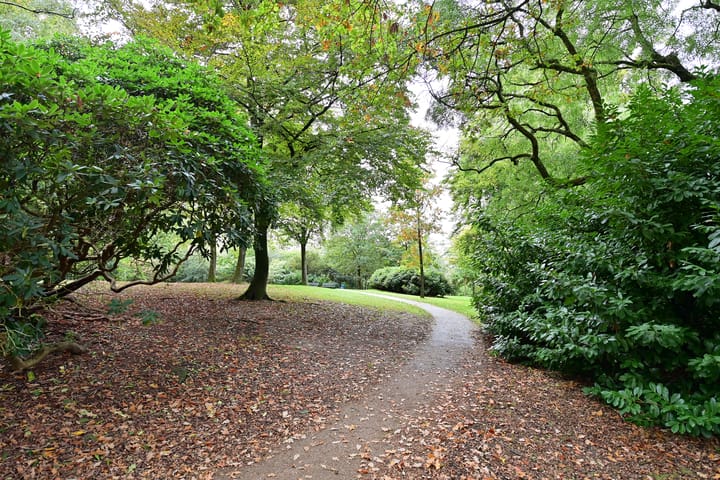 Foto 44 van Bergweg 24