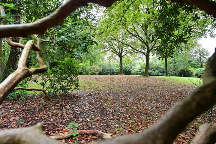 Foto 45 van Bergweg 24