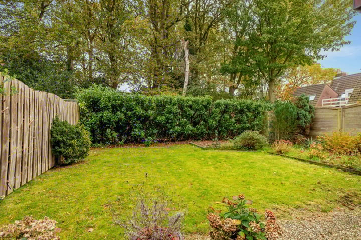 Foto 49 van Swammerdamstraat 28