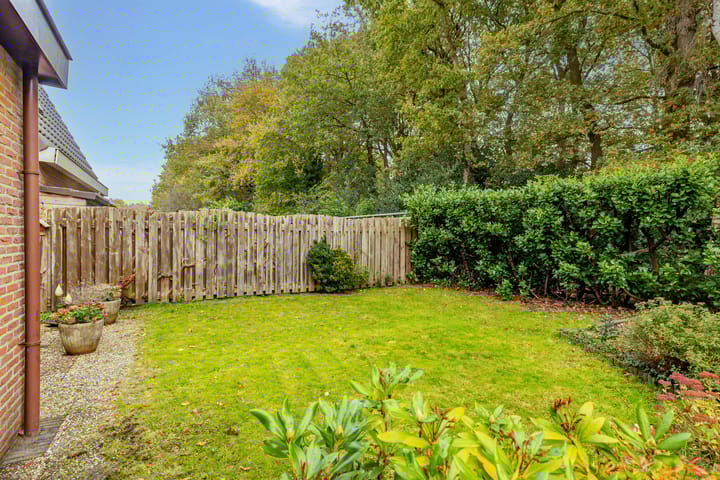 Foto 51 van Swammerdamstraat 28