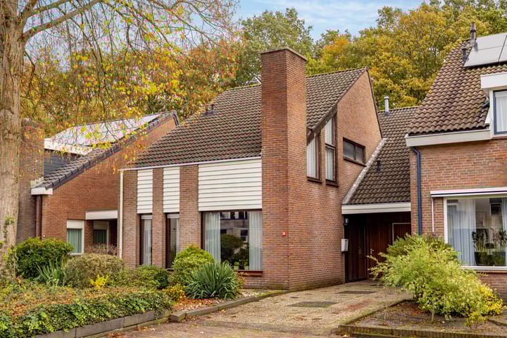 Foto 53 van Swammerdamstraat 28