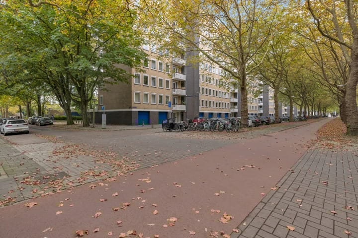 Photo 3 of Van Nijenrodeweg 657