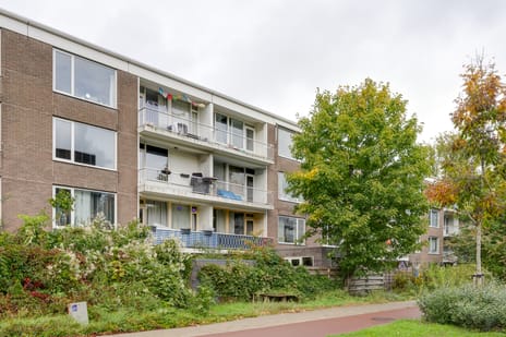 Botterstraat thumbnail