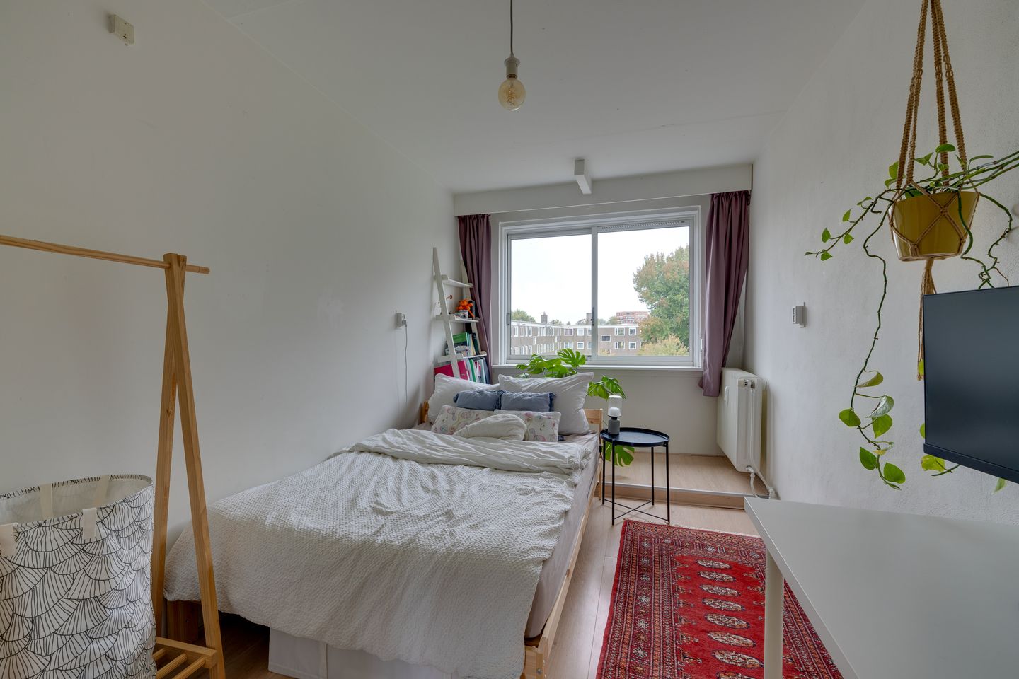 Photo 29 of Botterstraat 40