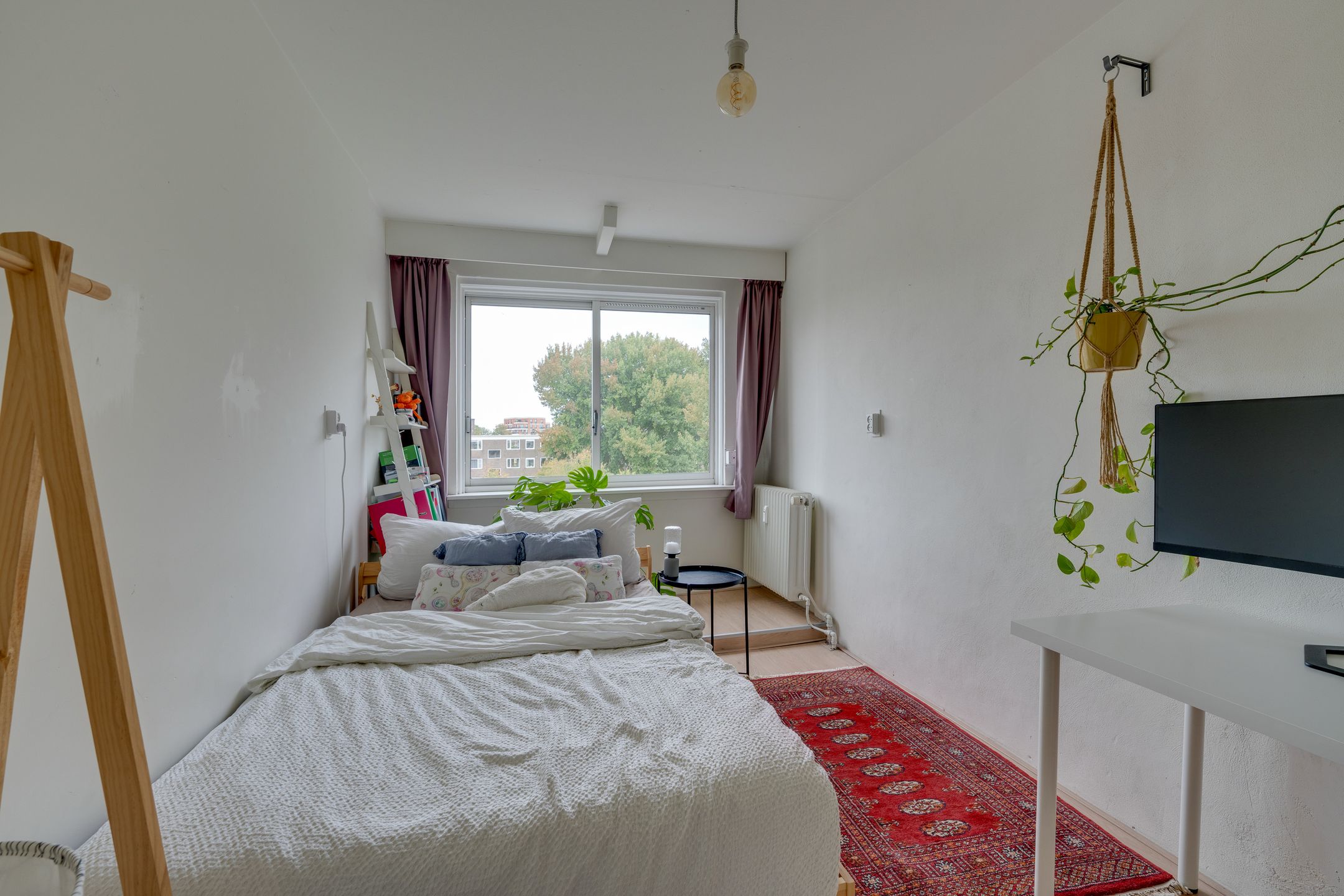 Photo 30 of Botterstraat 40