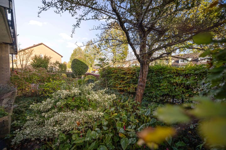 Foto 31 van Jan Schamhartstraat 38