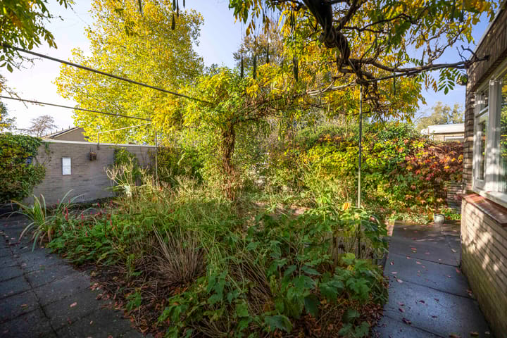 Foto 33 van Jan Schamhartstraat 38