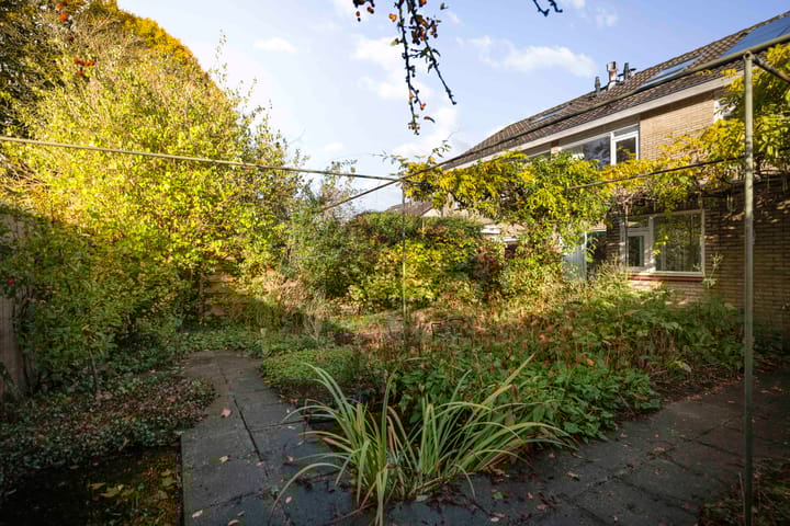 Foto 34 van Jan Schamhartstraat 38