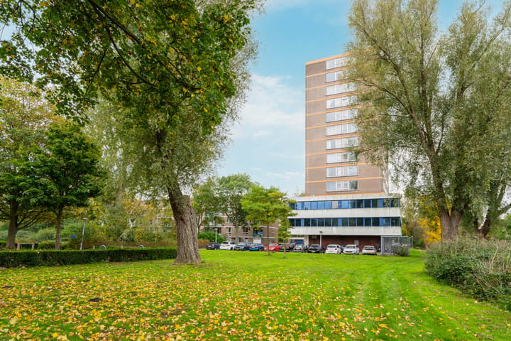 Foto 25 van Maassluisstraat 564