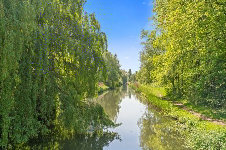 Foto 35 van Maassluisstraat 564