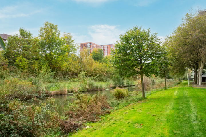 Foto 33 van Maassluisstraat 564