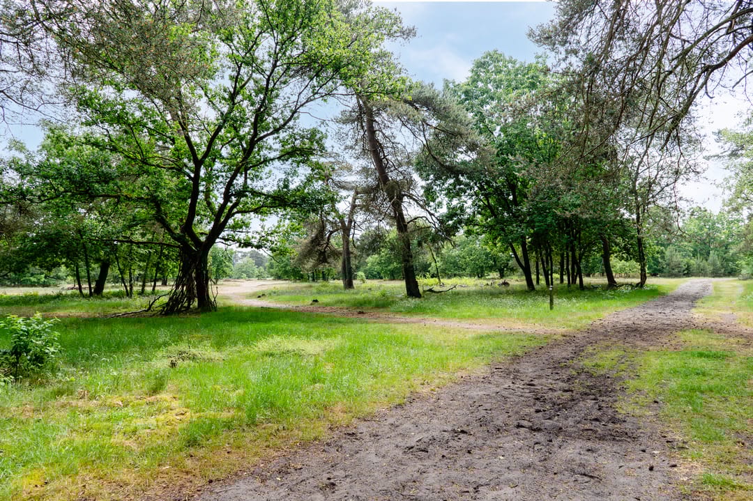 Foto 41 van Kerkendelweg 49-27