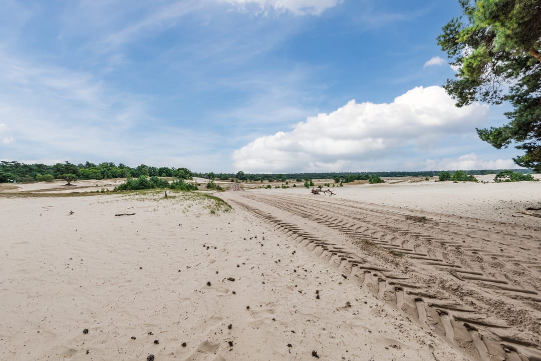 Foto 46 van Parallelweg 26-171