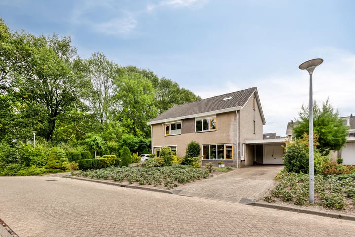 Photo 1 of Wolgastraat 3