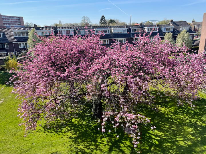 Foto 29 van Vechtplantsoen 44-2