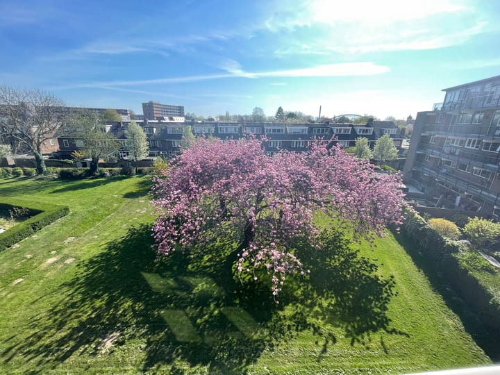 Foto 32 van Vechtplantsoen 44-2