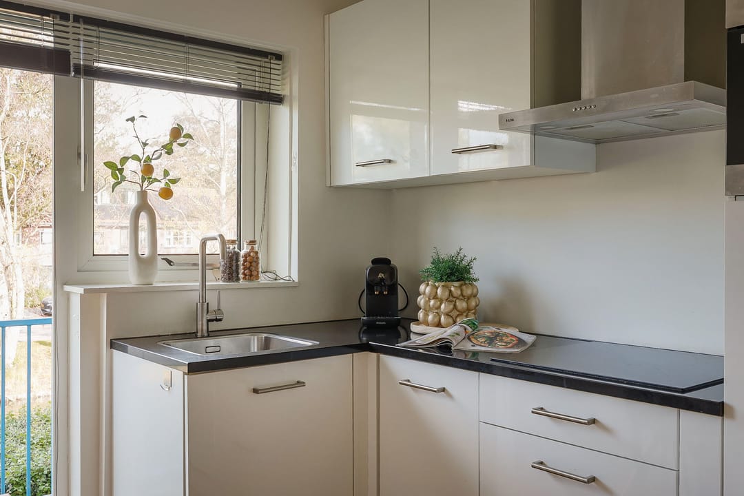 Foto 8 van Adriaen van Ostadelaan 42