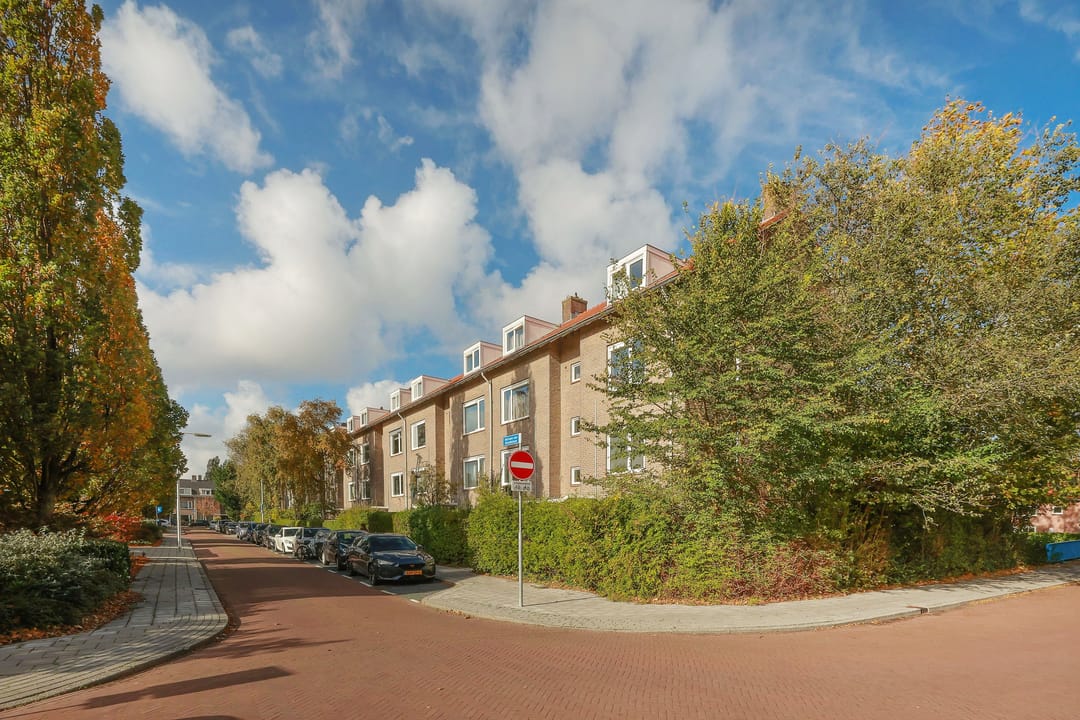 Foto 37 van Adriaen van Ostadelaan 42