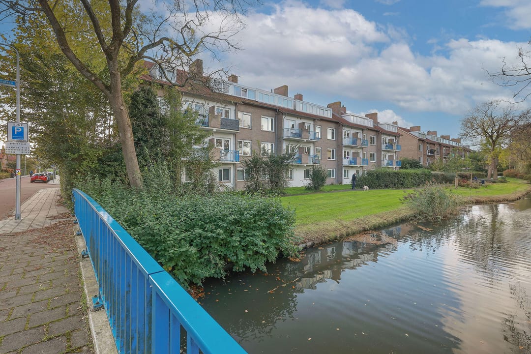 Foto 38 van Adriaen van Ostadelaan 42