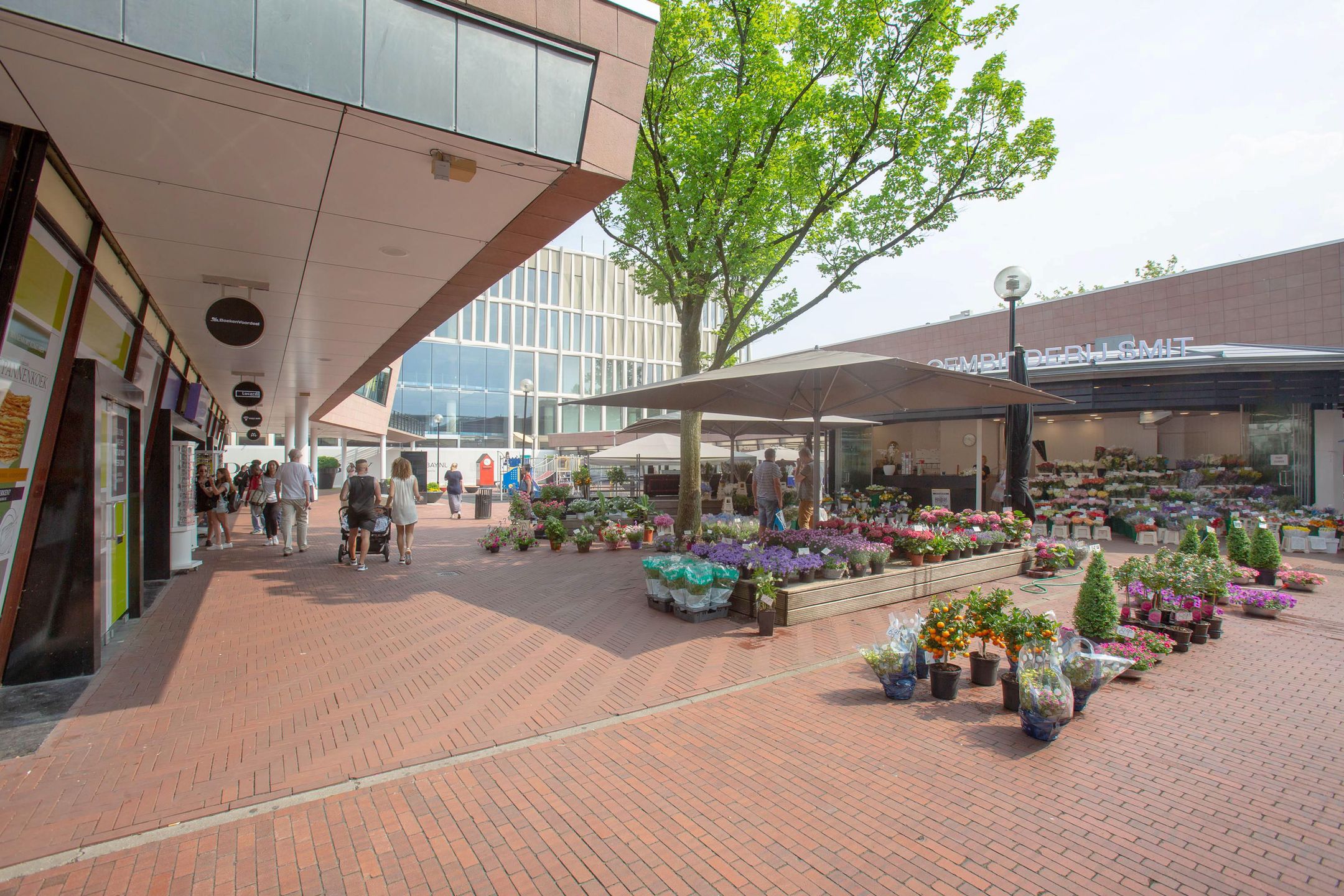 Foto 45 van Adriaen van Ostadelaan 42