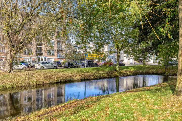 Foto 21 van Ruysdaelstraat 43