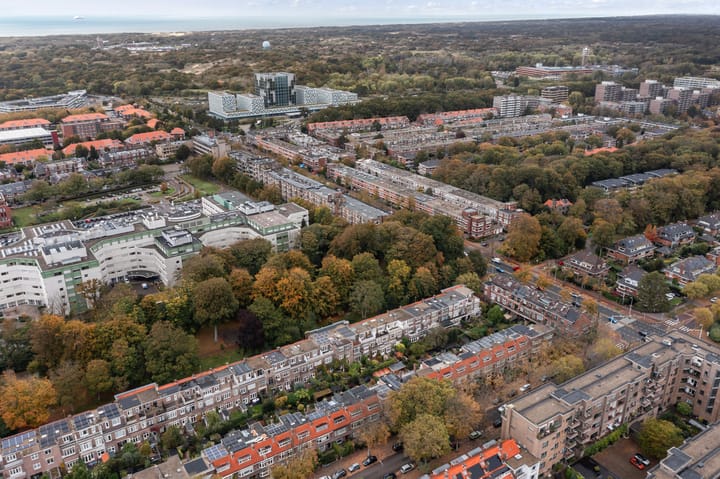 Photo 66 of Ruychrocklaan 162