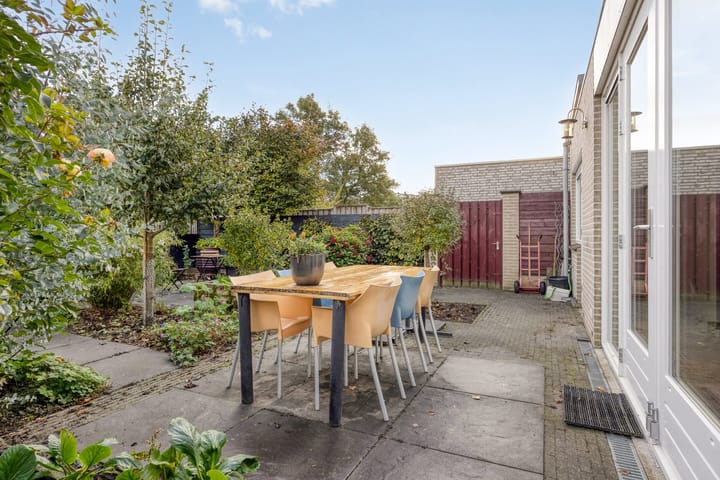 Photo 31 of Elstar 7