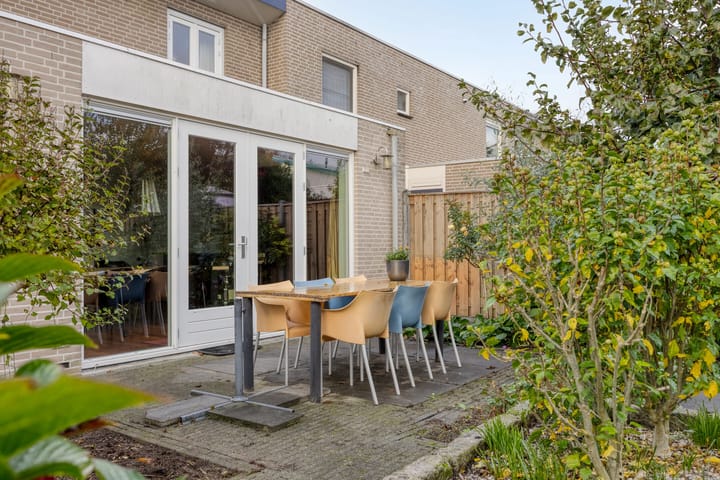 Photo 32 of Elstar 7