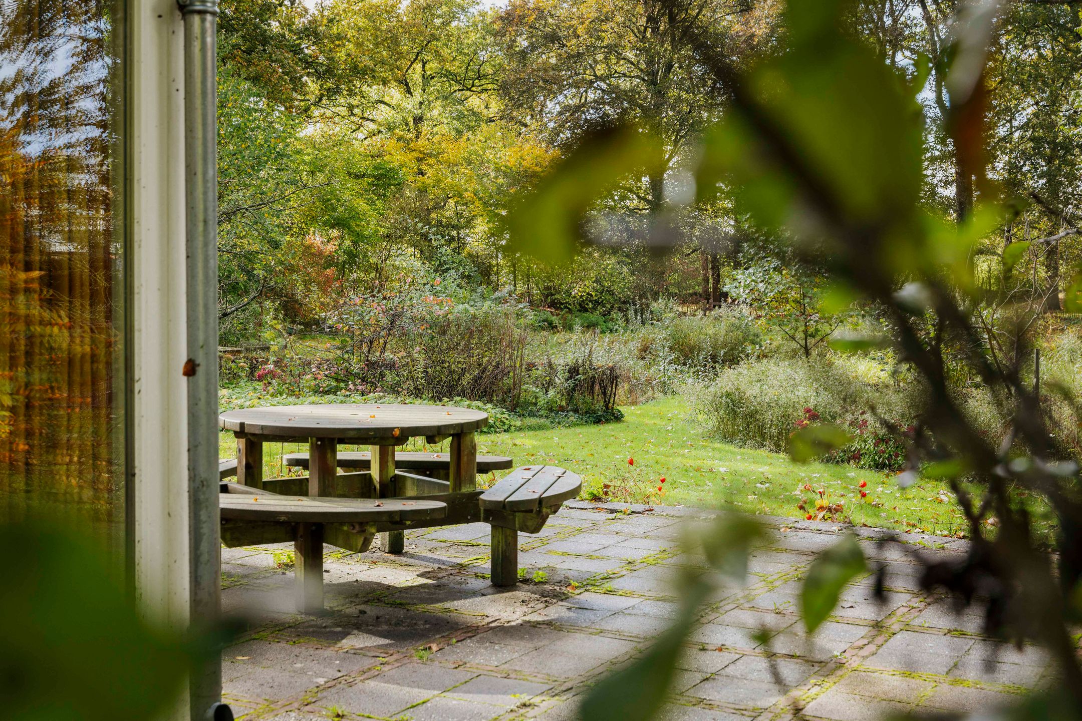 Photo 51 of Wethouder A.G. Dekkerlaan 38