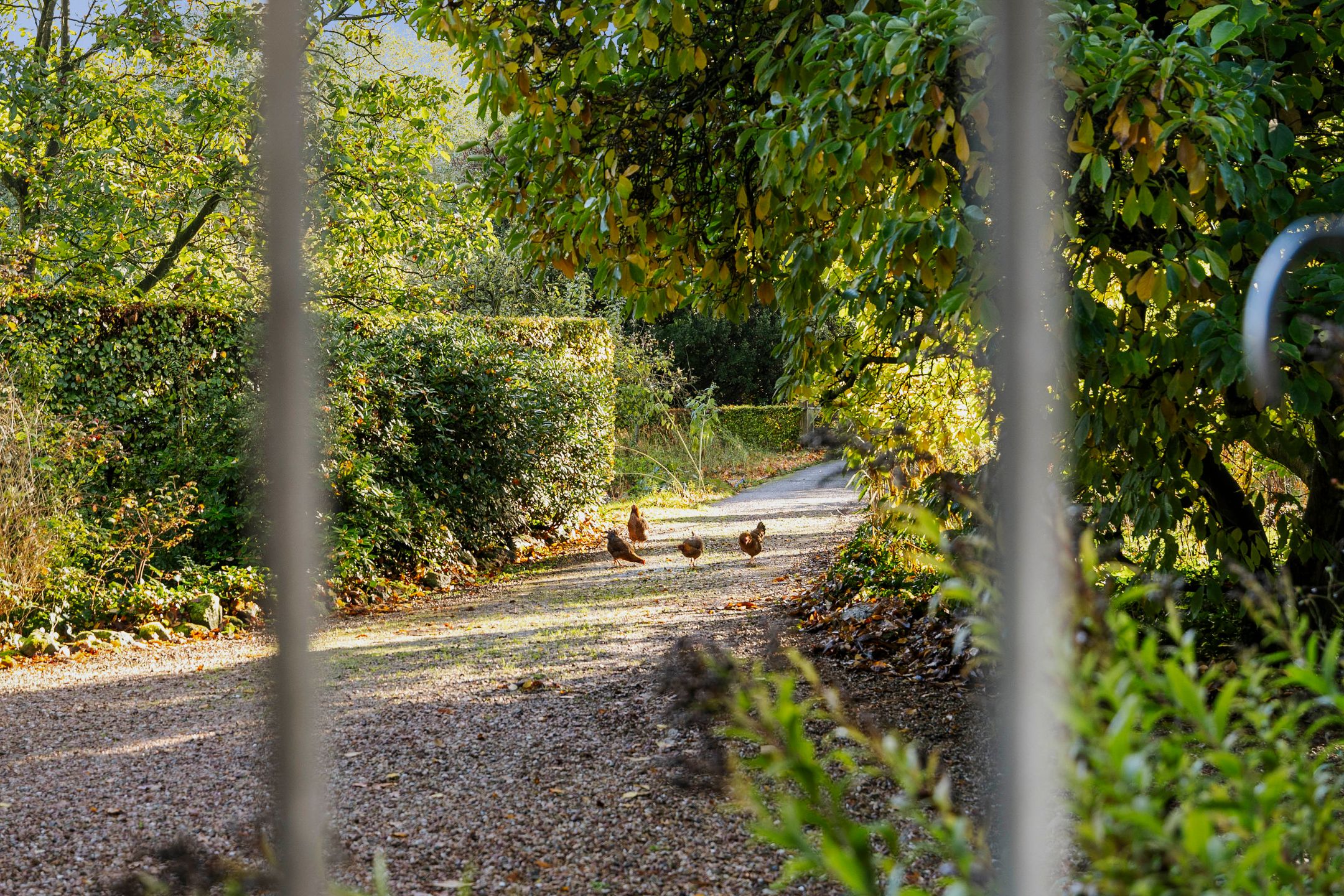 Photo 60 of Wethouder A.G. Dekkerlaan 38