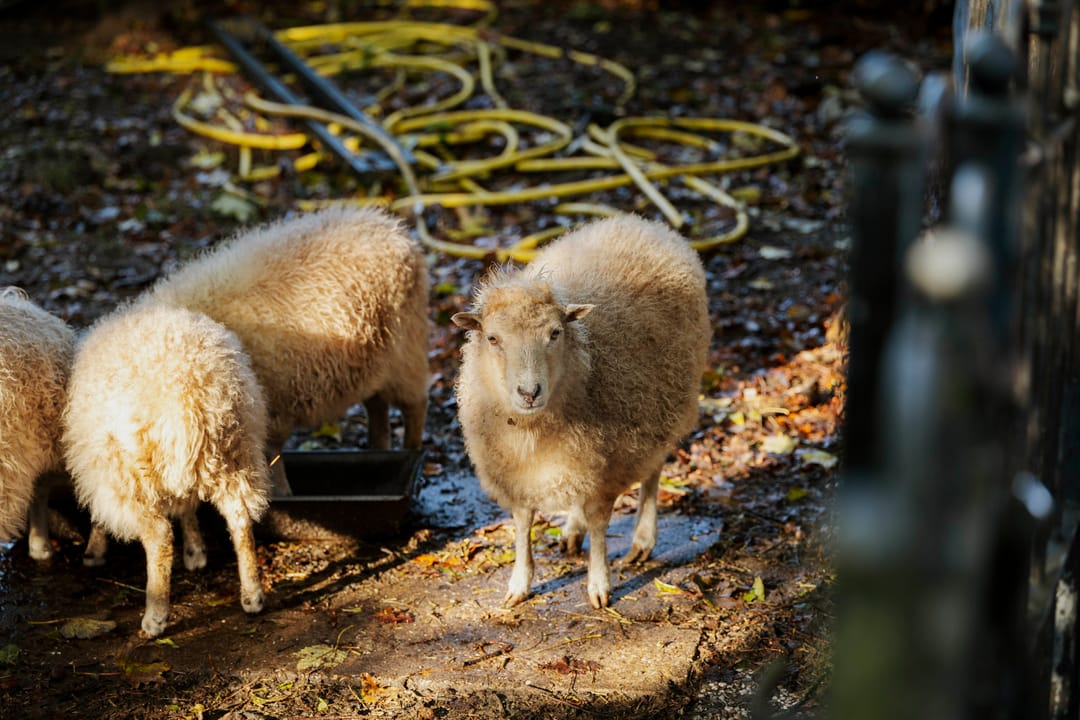 Photo 62 of Wethouder A.G. Dekkerlaan 38