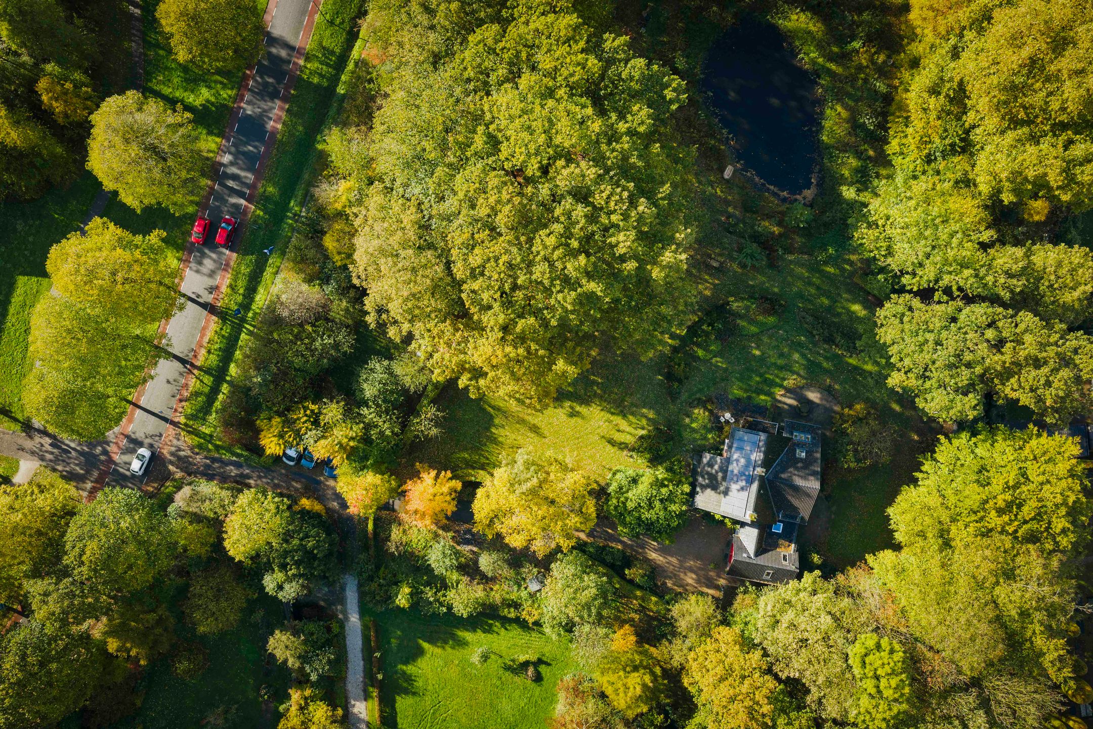 Photo 78 of Wethouder A.G. Dekkerlaan 38