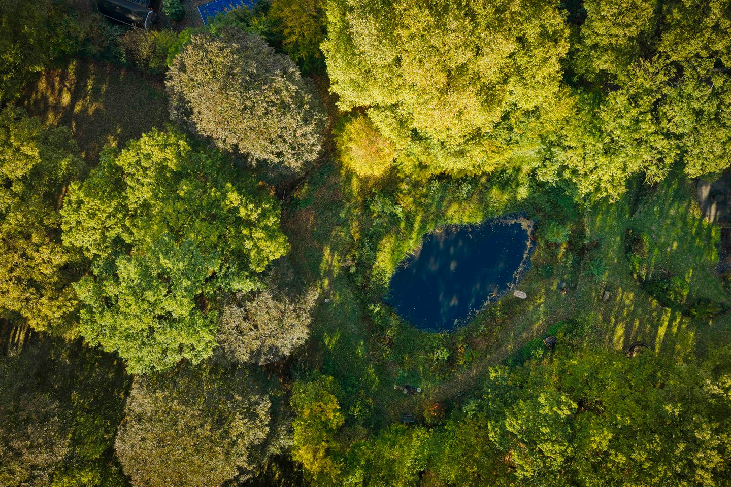 Photo 79 of Wethouder A.G. Dekkerlaan 38