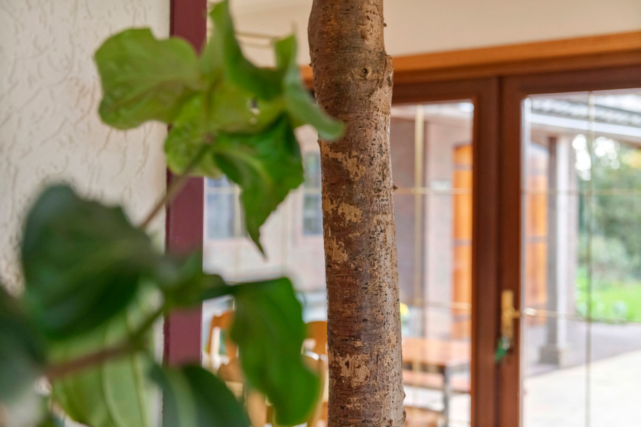 Foto 60 van Rijnbandijk 171