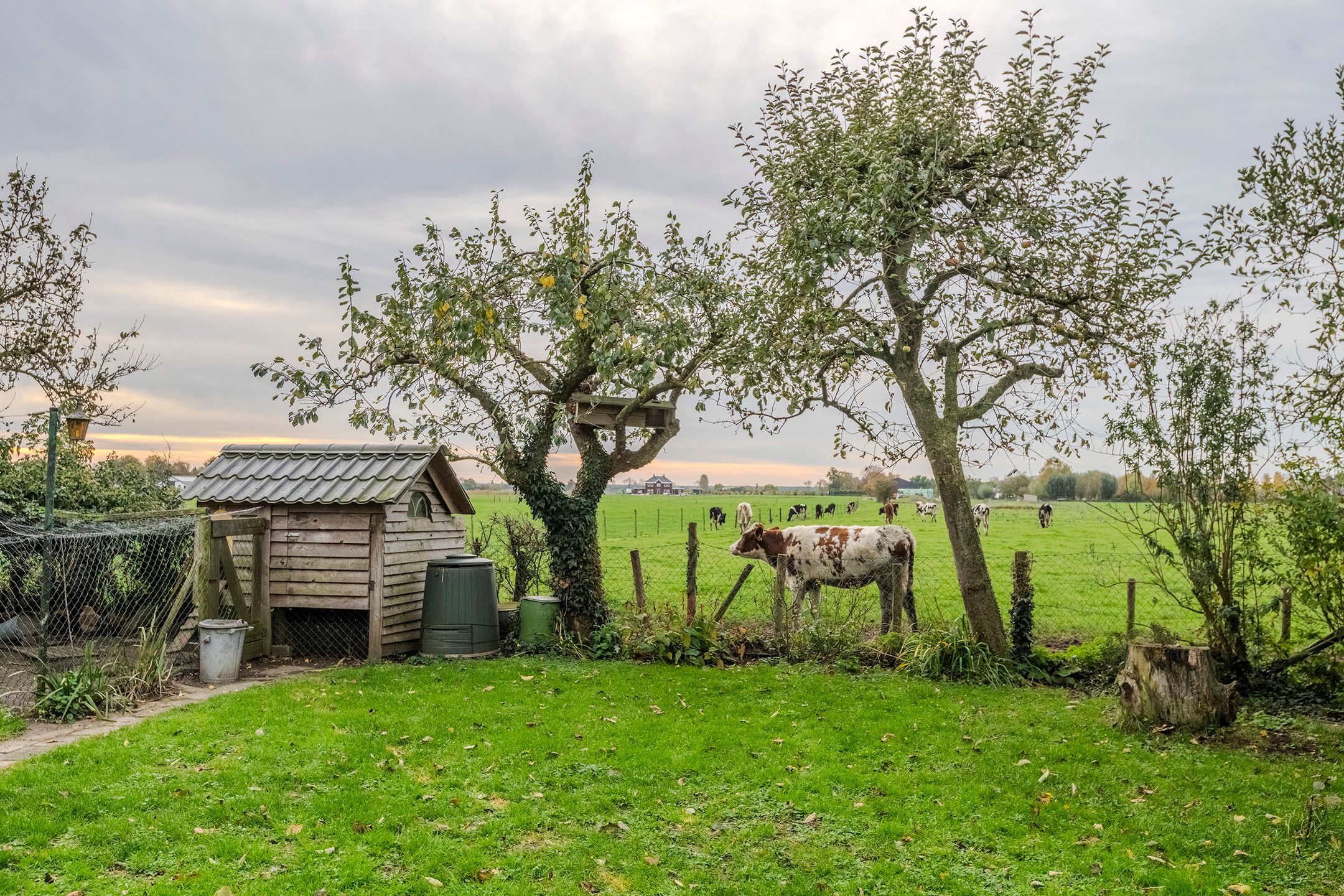 Foto 24 van Rijnbandijk 171