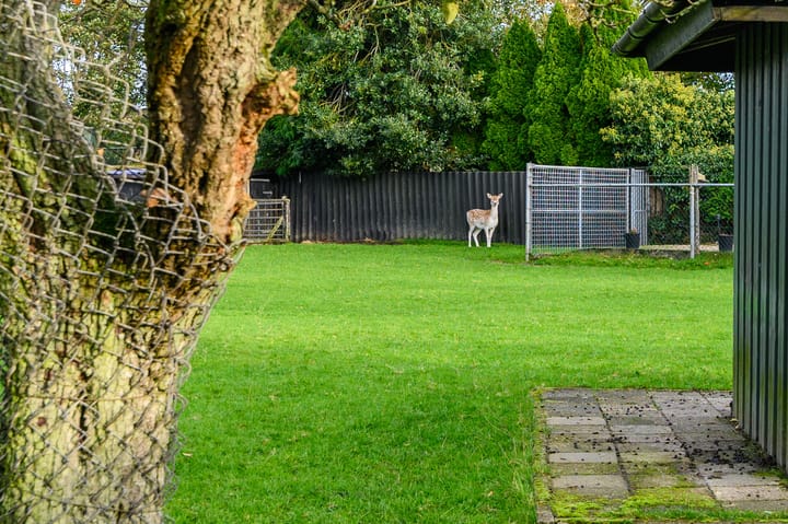 Photo 61 of Hoofdstraat 140