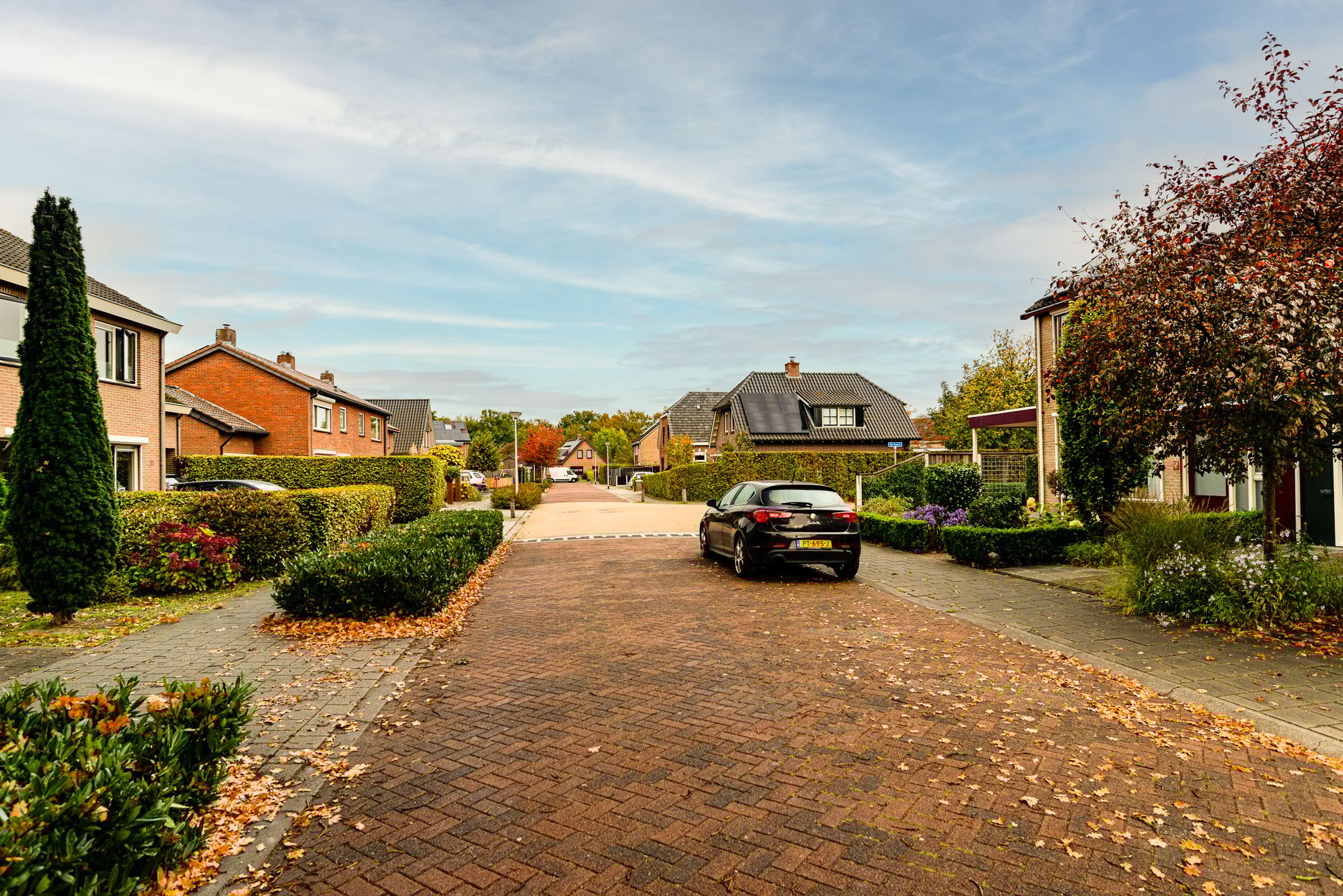 Foto 39 van Rozenkamp 56