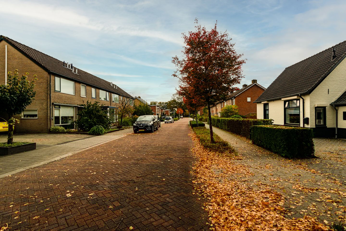 Foto 40 van Rozenkamp 56