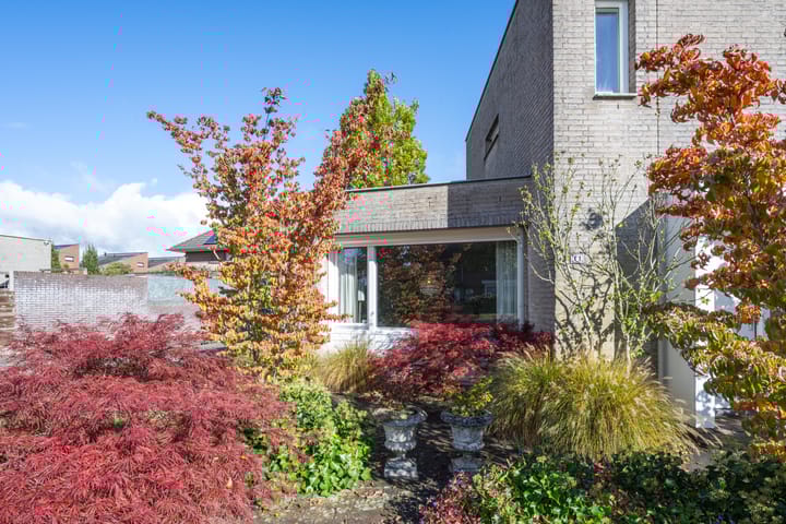 Photo 9 of Ruisvoorn 11