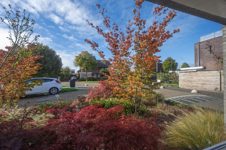 Photo 23 of Ruisvoorn 11