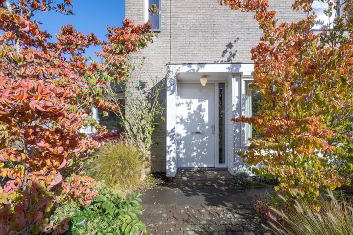 Photo 12 of Ruisvoorn 11