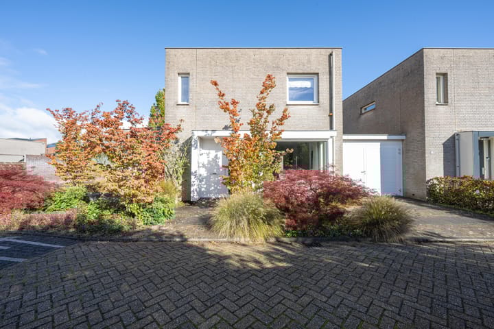 Photo 11 of Ruisvoorn 11