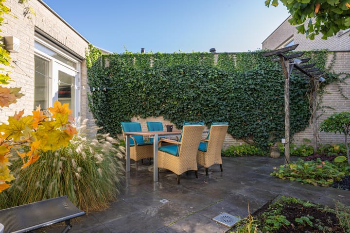 Photo 49 of Ruisvoorn 11