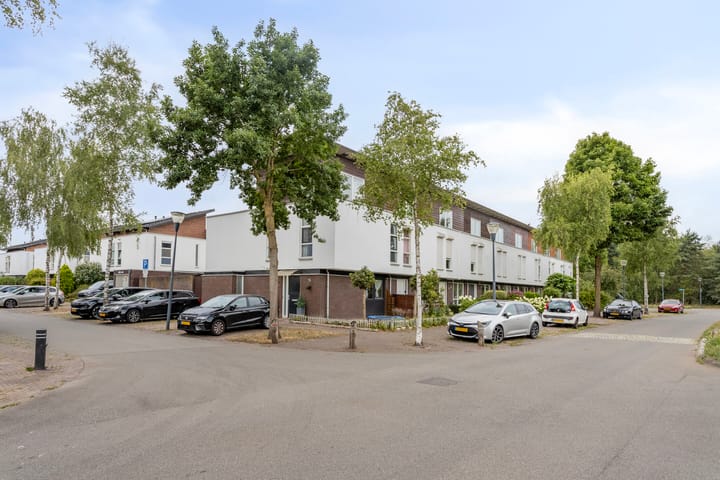 Photo 6 of Zandkrab 2