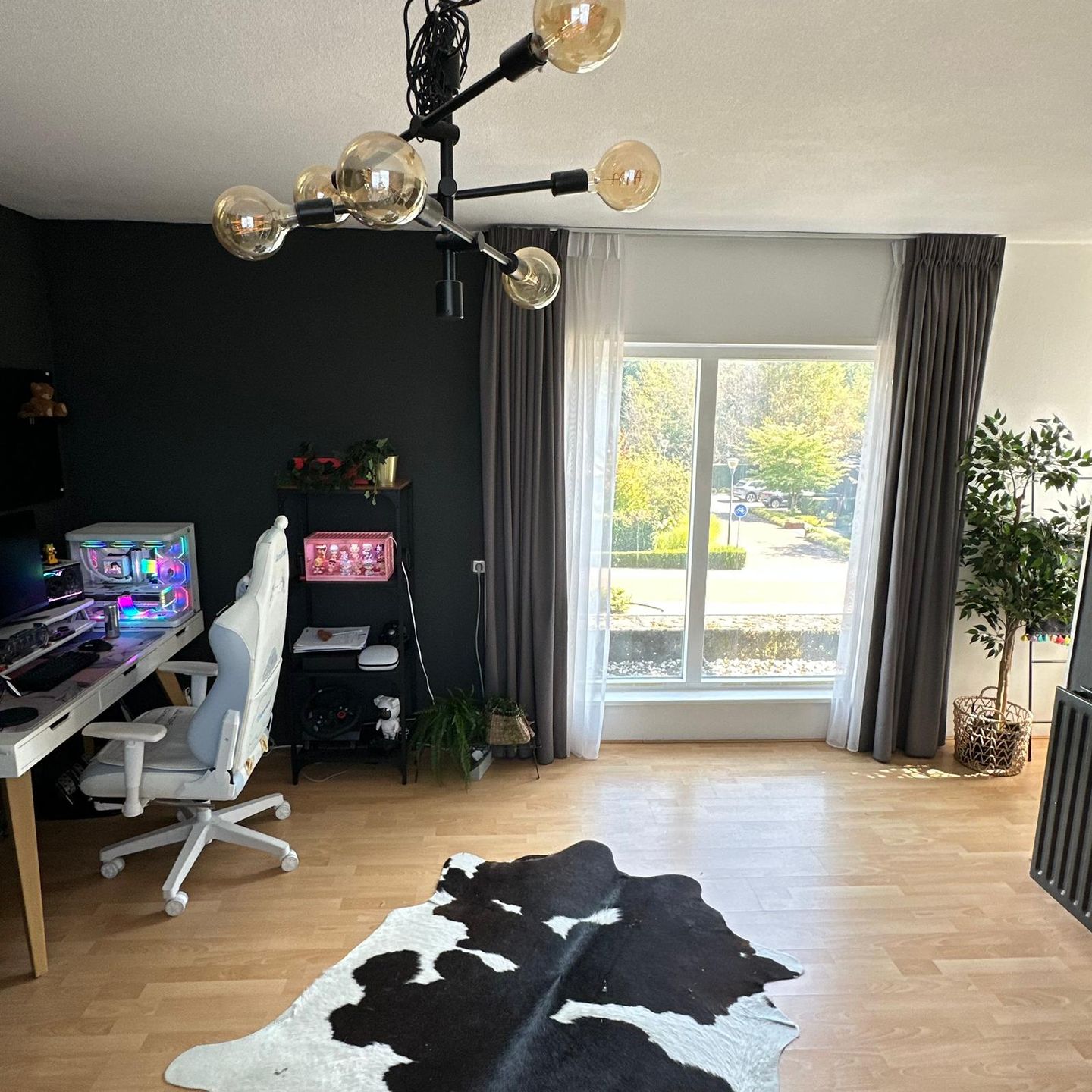 Foto 25 van Zandkrab 2