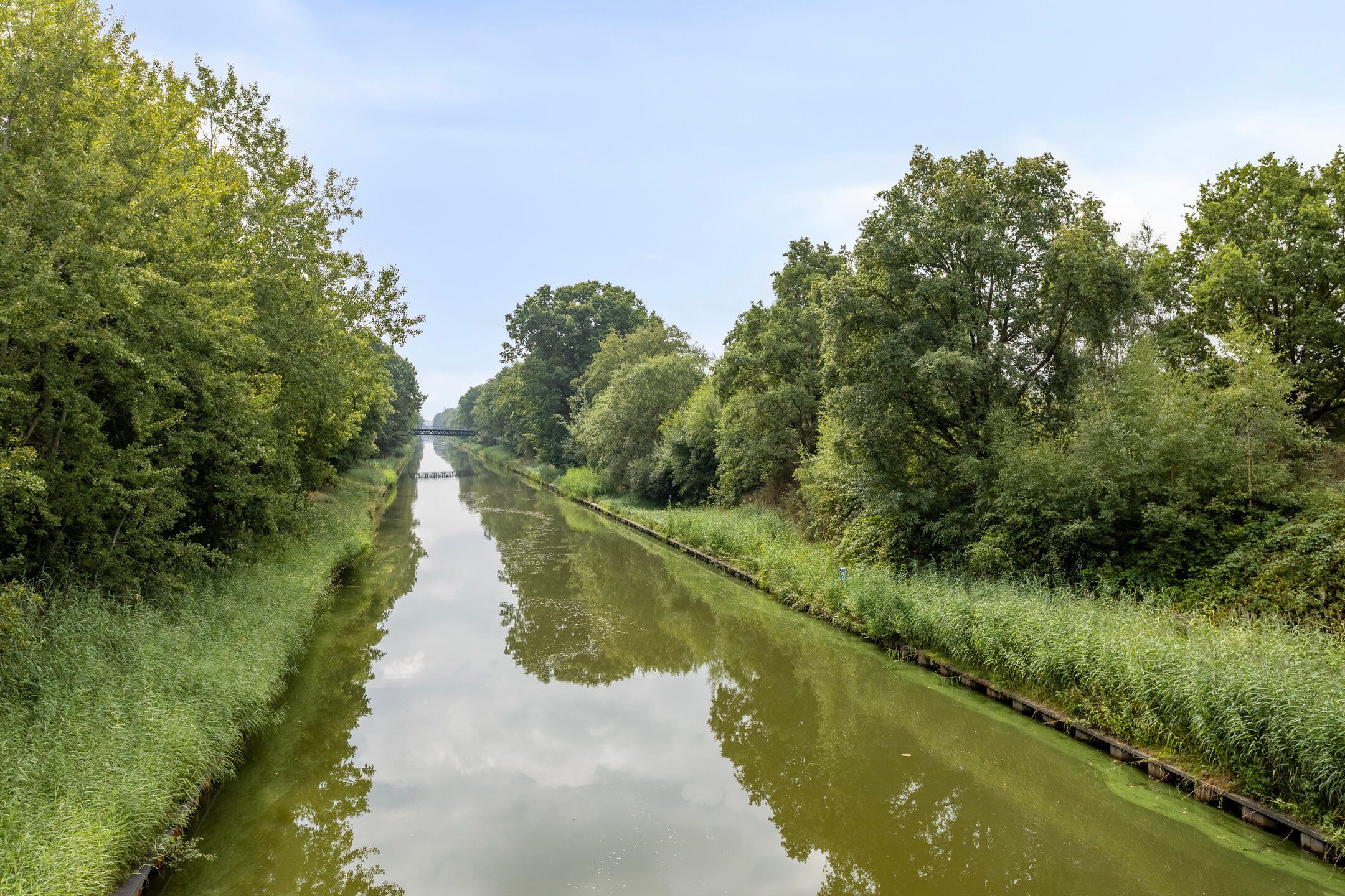 Foto 30 van Zandkrab 2