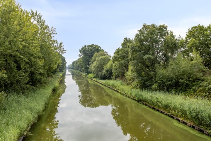 Photo 30 of Zandkrab 2