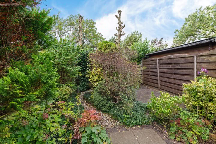 Foto 37 van Rode Klaver 81