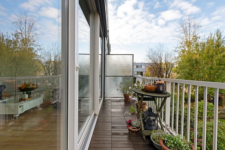 Foto 39 van Rode Klaver 81